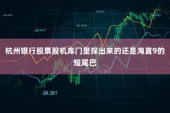 杭州银行股票股机库门里探出来的还是海直9的短尾巴