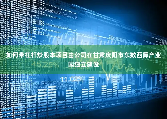如何带杠杆炒股本项目由公司在甘肃庆阳市东数西算产业园独立建设